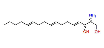 Nephtixamide A